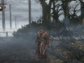 Bloodborne-_20150316000755.jpg
