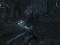 Bloodborne-_20150317221243.jpg