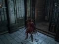 Bloodborne-_20150314215640.jpg