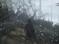 Bloodborne-_20150315000200.jpg