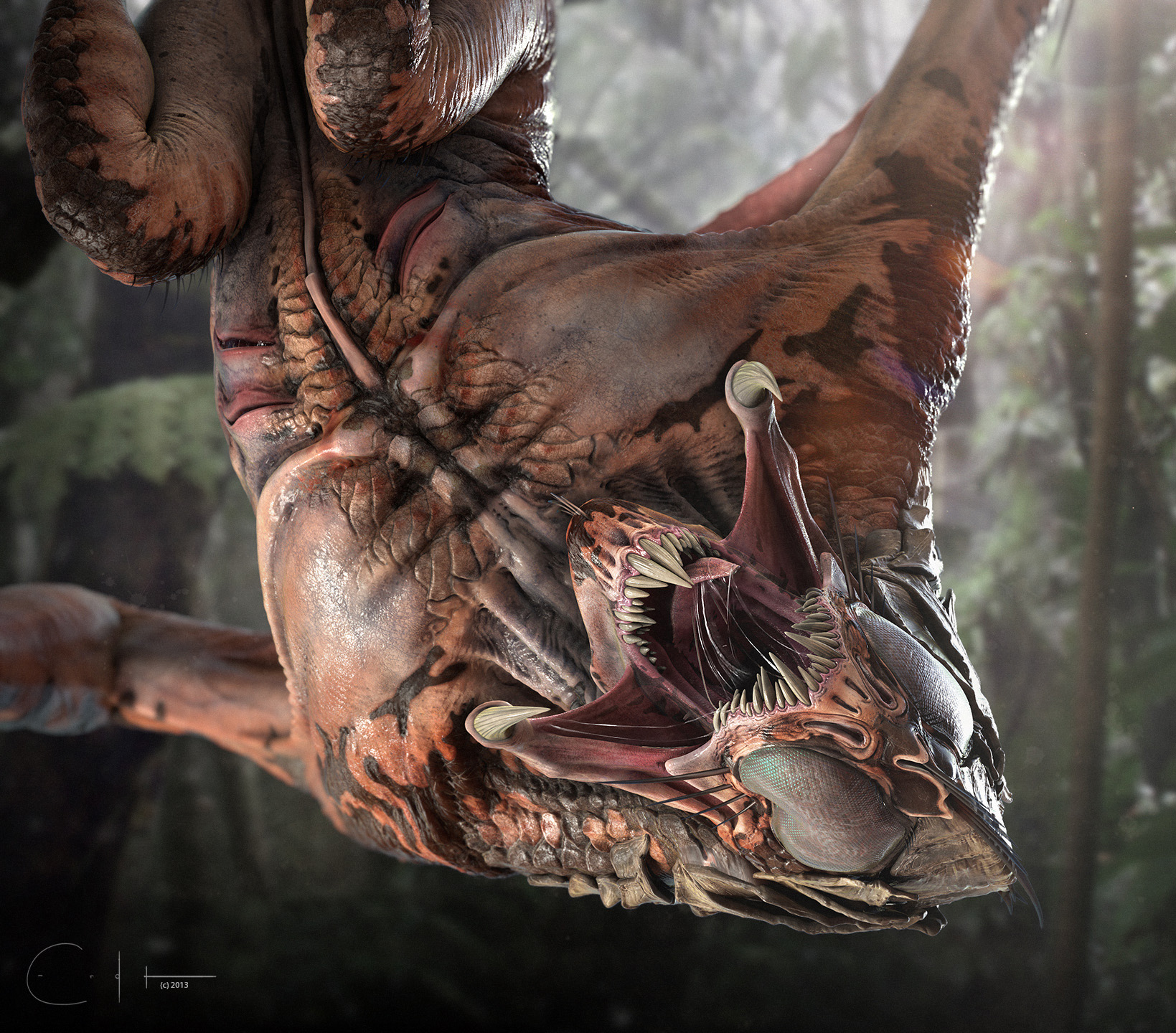 shrieker_branch_hanging