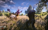 1402005472-the-witcher-3-wild-hunt-3